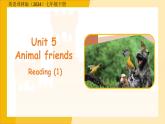 Unit 5 Animal friends（Reading 1）課件 英語譯林版（2024）七年級下冊