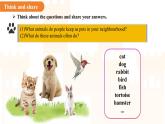 Unit 5 Animal friends（Reading 1）課件 英語譯林版（2024）七年級下冊