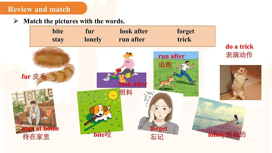 Unit 5 Animal friends（Reading 2）课件 英语译林版（2024）七年级下册第5页