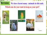 Unit 5 Animal friends Integration(D)  課件 2024-2025學(xué)年譯林版（2024）七年級英語下冊