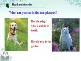 Unit 5 Animal friends Reading  課件 2024-2025學(xué)年譯林版（2024）七年級英語下冊