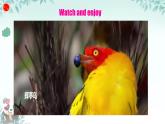 Unit 5 Animal friends 課件 2024-2025學(xué)年譯林版（2024）七年級英語下冊