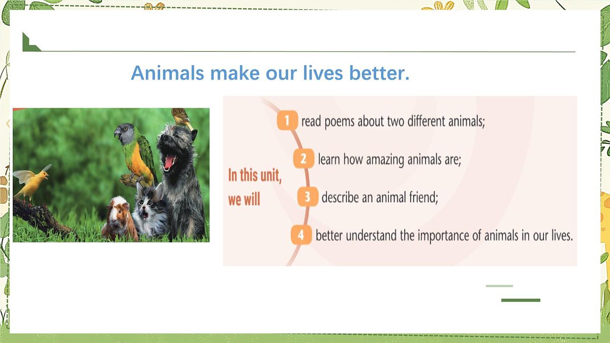 Unit 5 Animal friends 课件 2024-2025学年译林版（2024）七年级英语下册第3页