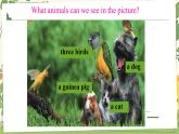 Unit 5 Animal friends 課件 2024-2025學(xué)年譯林版（2024）七年級英語下冊