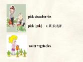 Unit 3 After-school activities Lesson 2 課件 英語冀教版（2024）七年級(jí)下冊(cè)