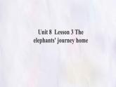 Unit 8 Lesson 3 The elephants' journey home  課件 英語(yǔ)冀教版（2024）七年級(jí)下冊(cè)