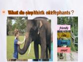 Unit 8 Lesson 3 The elephants' journey home  課件 英語(yǔ)冀教版（2024）七年級(jí)下冊(cè)