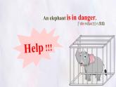 Unit 8 Lesson 3 The elephants' journey home  課件 英語(yǔ)冀教版（2024）七年級(jí)下冊(cè)