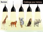 Unit 8 Lesson 3 The elephants' journey home 課件  英語(yǔ)冀教版（2024）七年級(jí)下冊(cè)