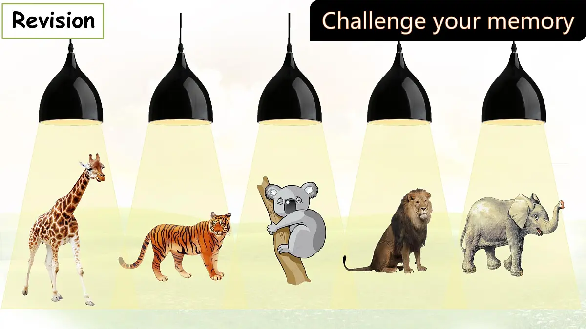 Unit 8 Lesson 3 The elephants' journey home 课件 英语冀教版（2024）七年级下册第2页