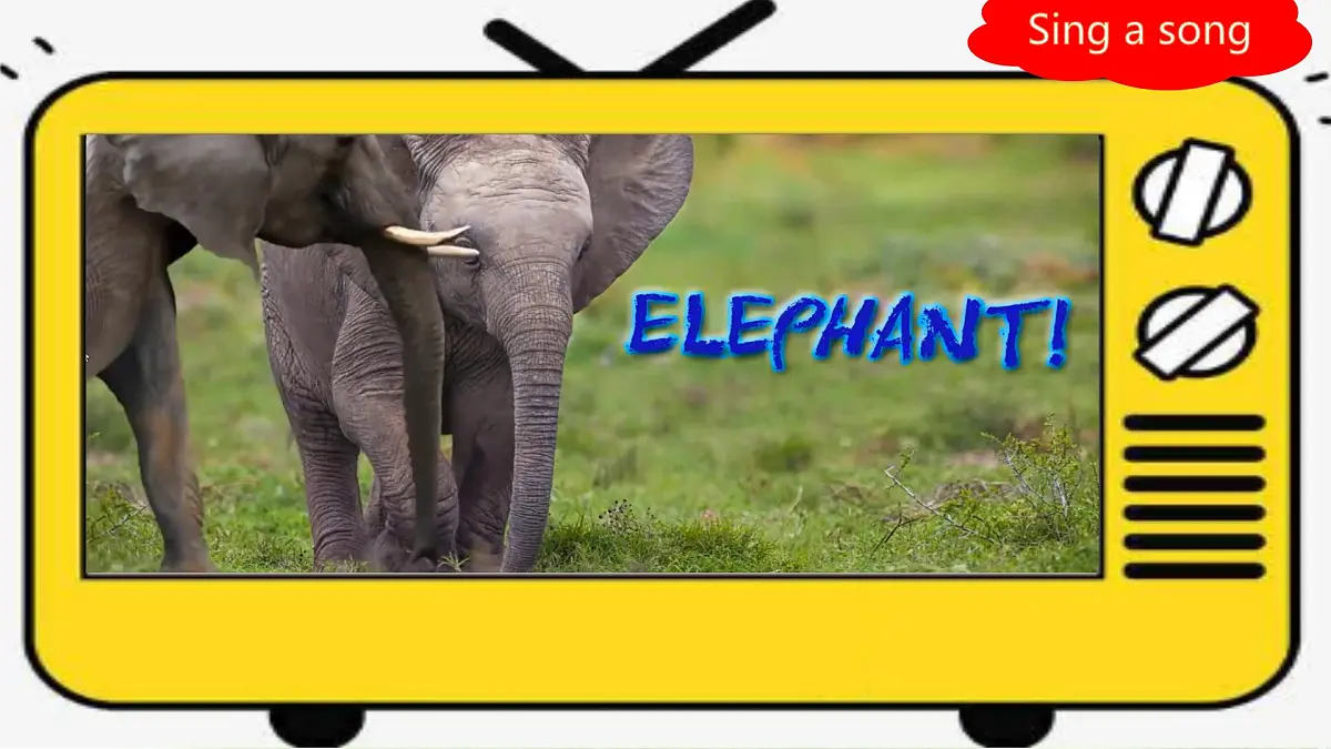 Unit 8 Lesson 3 The elephants' journey home 课件 英语冀教版（2024）七年级下册第4页