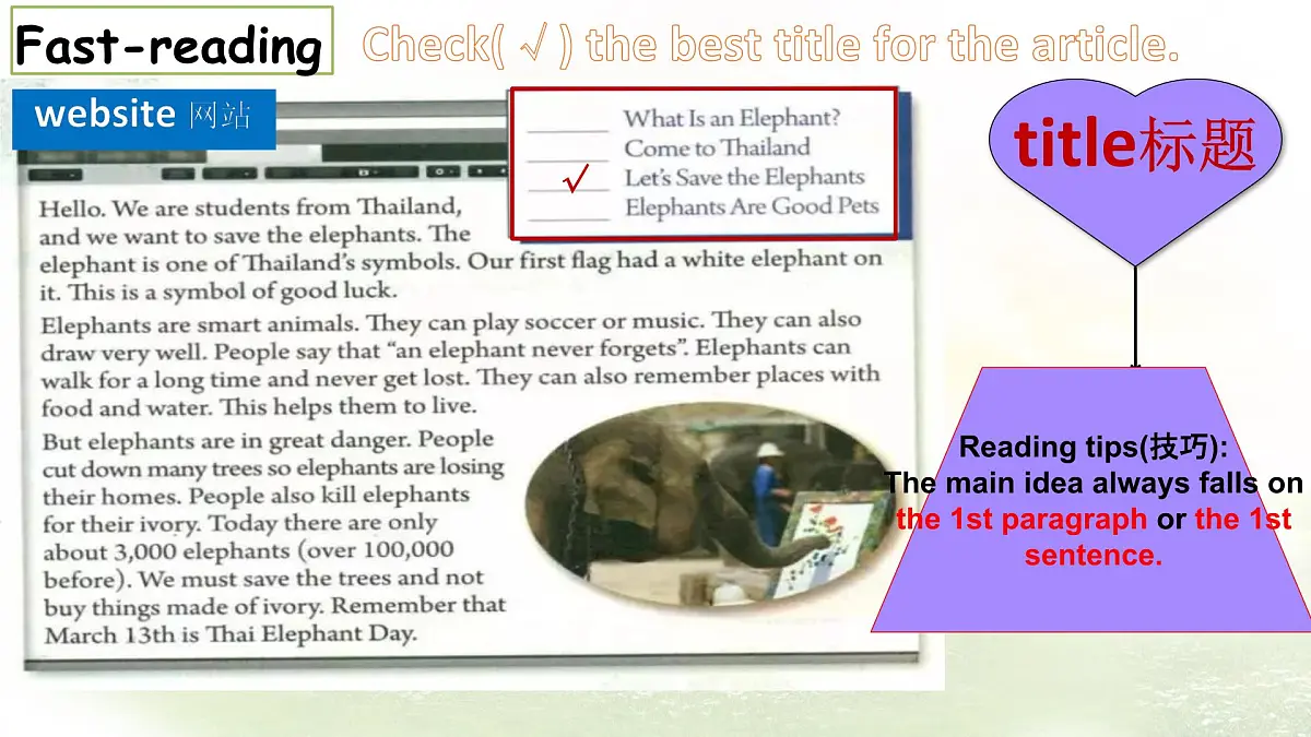 Unit 8 Lesson 3 The elephants' journey home 课件 英语冀教版（2024）七年级下册第6页
