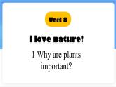 Unit 8 Lesson 1 Why are plants important.課件 英語(yǔ)冀教版（2024）七年級(jí)下冊(cè)