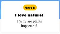冀教版（2024）七年级下册（2024）Lesson 1 Why are plants important?备课ppt课件