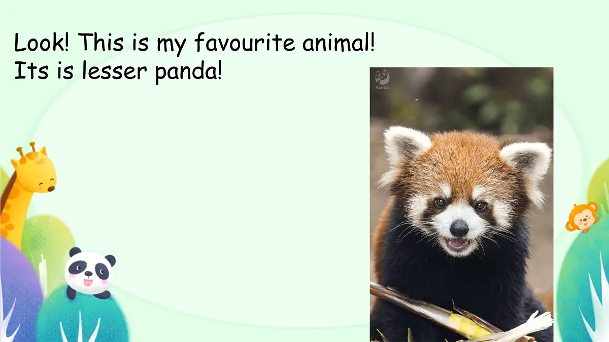 初中英语人教版（2024）七年级下册Unit 1 Animal Friends Section B 课件第3页