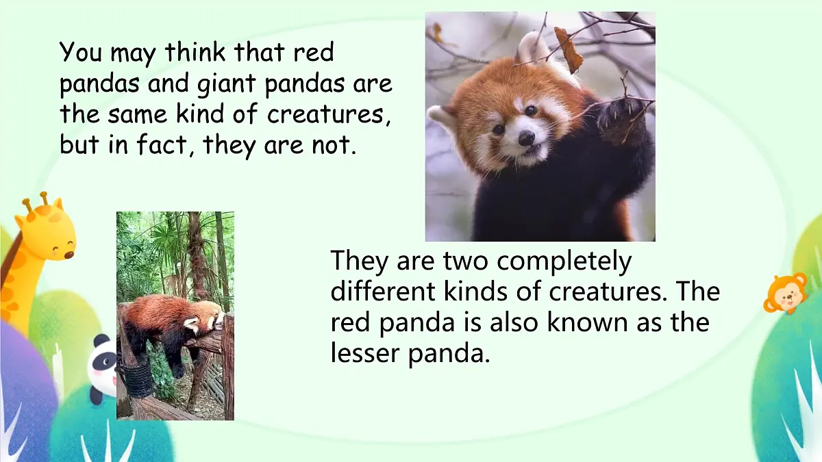 初中英语人教版（2024）七年级下册Unit 1 Animal Friends Section B 课件第4页
