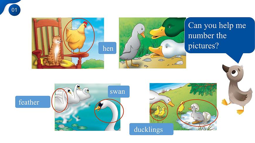 Unit 8 第4课时 Section B (1a-2b)（教学课件）-2024-2025学年七年级英语下册(人教版2024)第6页