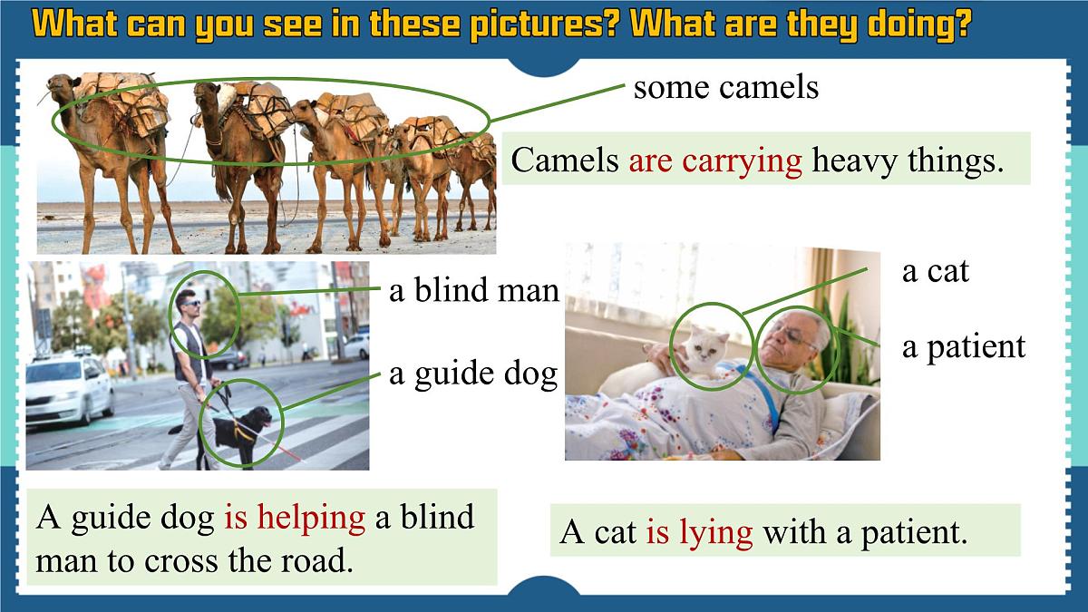 外研版2024七年级上册英语 unit5 listening and speaking 课件第4页