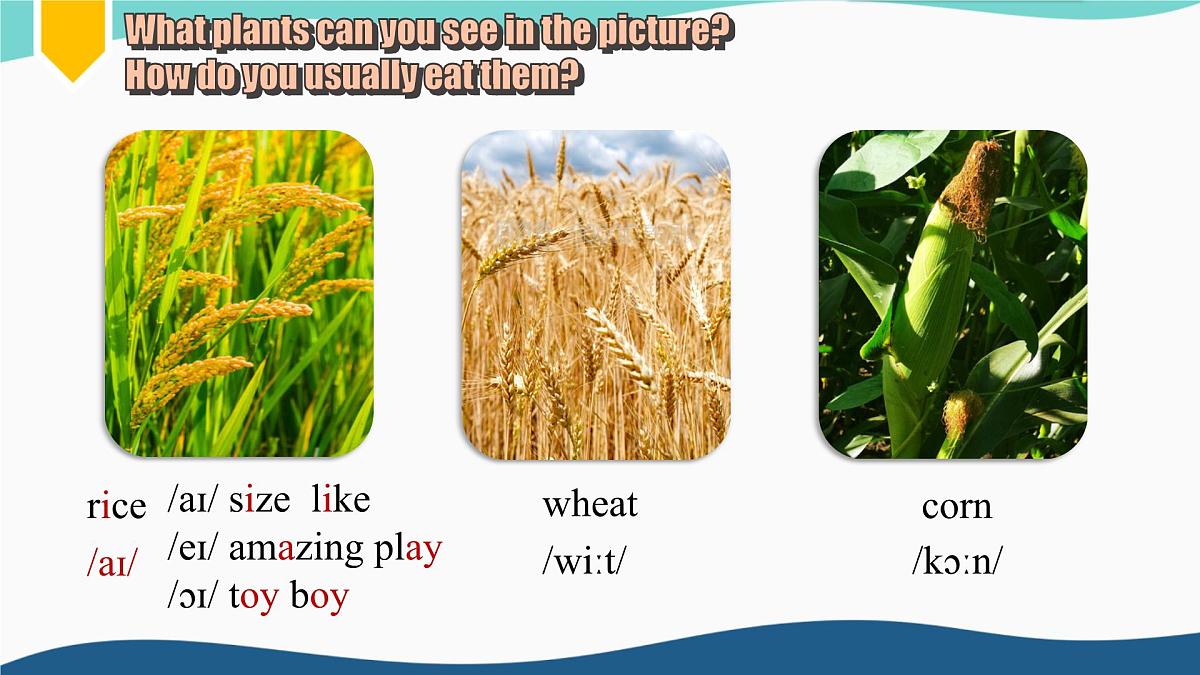 外研版2024七年级上册英语U6  listening & speaking  课件第5页