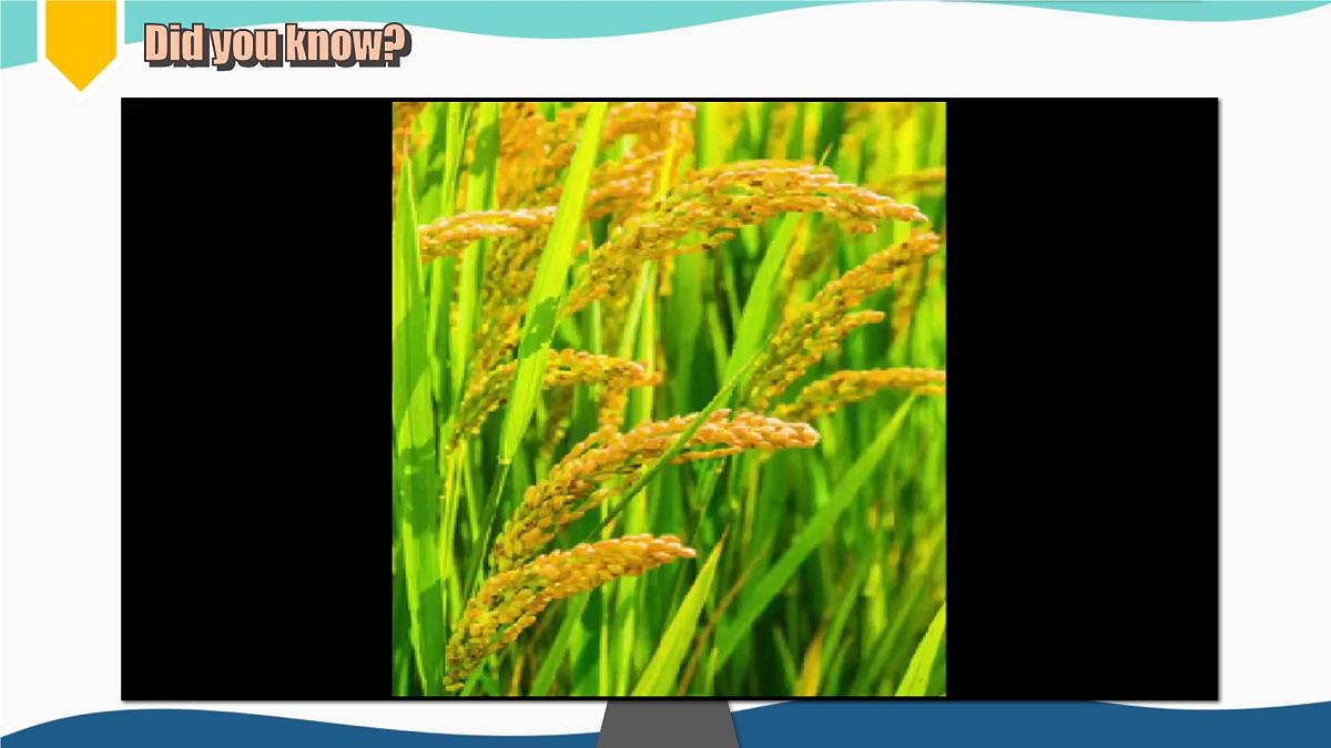 外研版2024七年级上册英语U6  listening & speaking  课件第6页