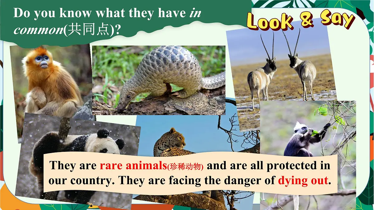 外研版2024七年级上册英语Unit 5 Fantastic friends Reading for writing 课件第6页