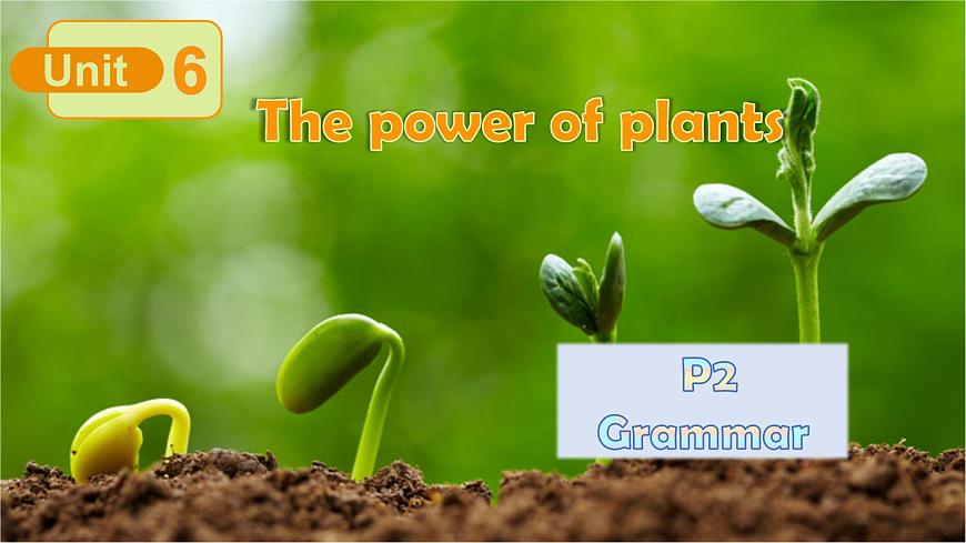 外研版2024七年级上册英语Unit 6 The power of plants Grammar 课件第1页