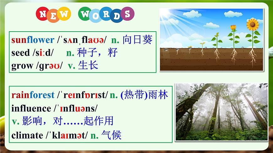 外研版2024七年级上册英语Unit 6 The power of plants Grammar 课件第2页