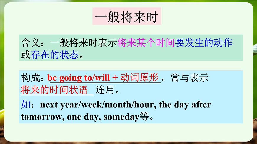 外研版2024七年级上册英语Unit 6 The power of plants Grammar 课件第7页