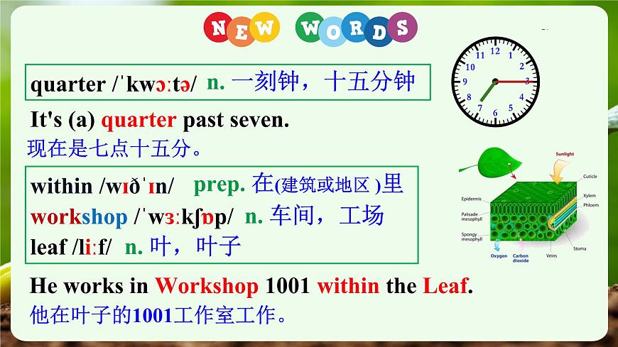 外研版2024七年级上册英语Unit 6 The power of plants Understanding ideas 课件第2页