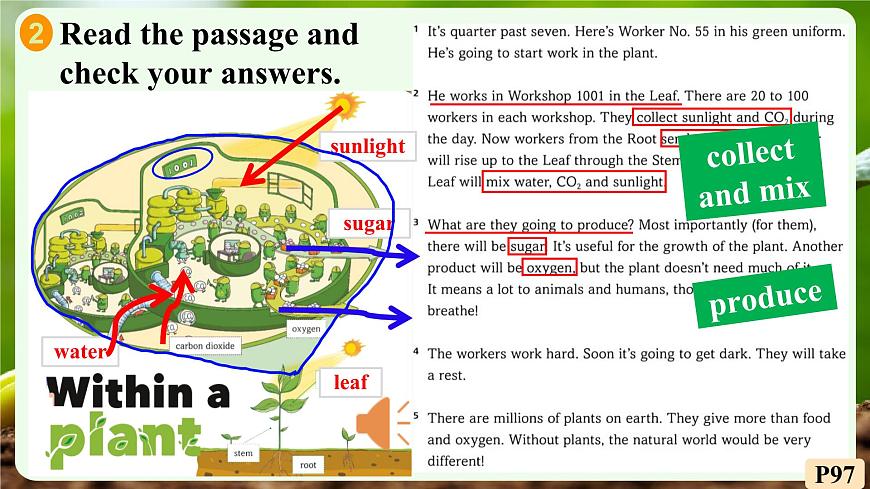 外研版2024七年级上册英语Unit 6 The power of plants Understanding ideas 课件第8页
