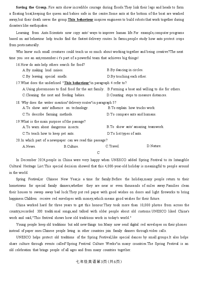 广东省深圳大学附属中学2024-2025学年七年级下学期期中考试 英语试卷第3页
