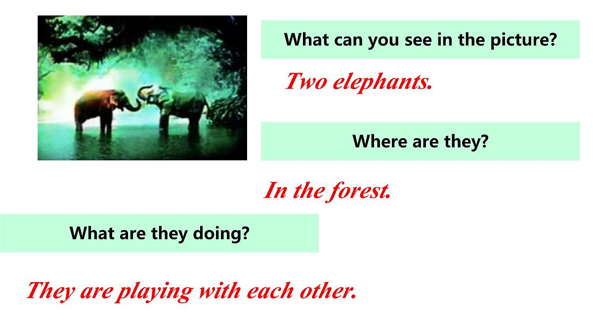 初中 英语 人教版（2024）七年级下册Unit 1   Animal Friends Section A 课件第1页
