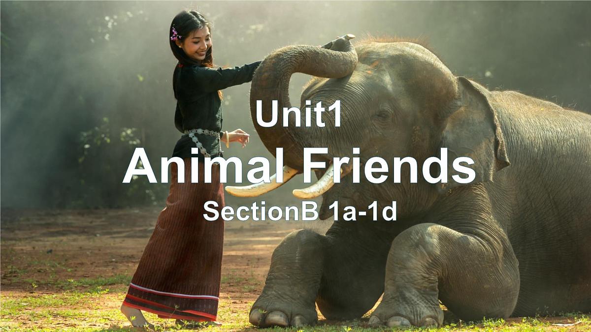 初中 英语 人教版（2024）七年级下册Unit 1   Animal Friends Section A 课件第3页
