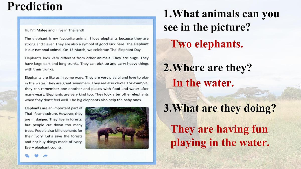 初中 英语 人教版（2024）七年级下册Unit 1   Animal Friends Section A 课件第8页