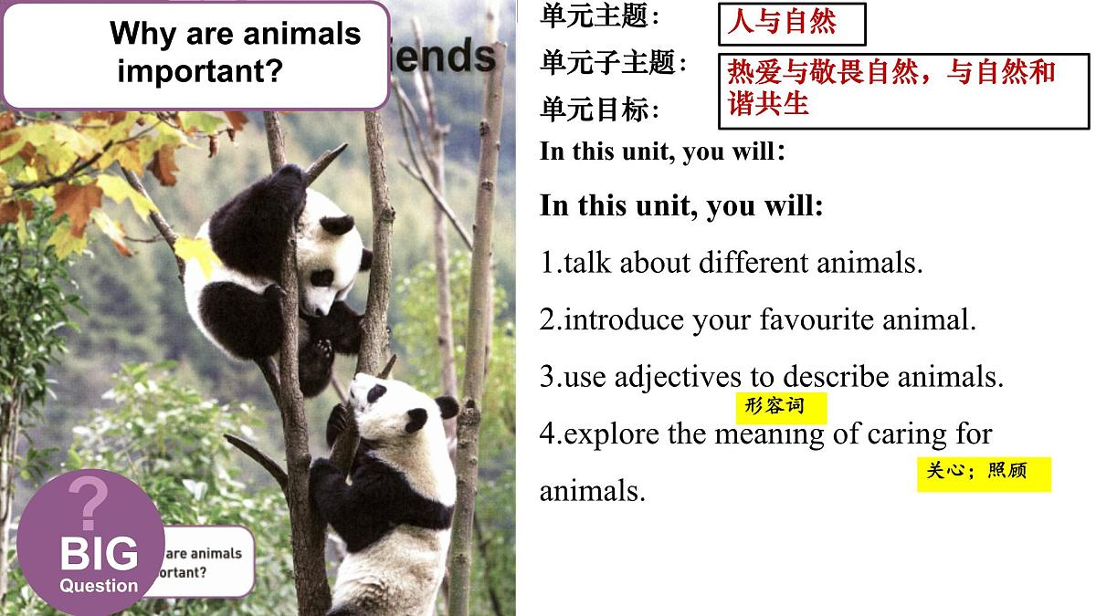 初中 英语 人教版（2024）七年级下册Unit 1   Animal Friends Section A 课件第1页