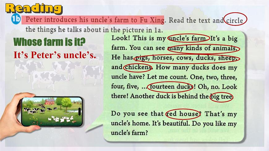 Starter U3 Section B (1a~2c) 课件 人教版英语七年级上册第5页