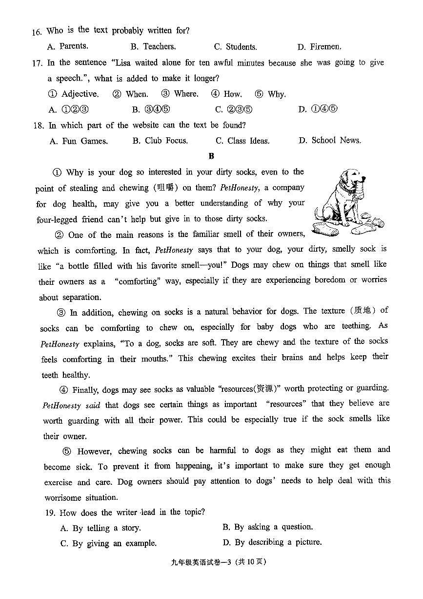 2025年浙江省金华市中考模拟英语试卷含答案第3页