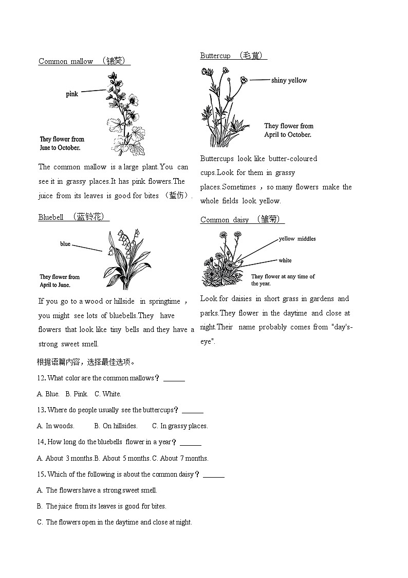 2025年广西南宁市中考英语一模试卷（含详细答案解析）第3页