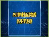 Unit 5 Animal friends Integration 課件 2024-2025學(xué)年譯林版七年級英語下冊