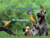 Unit 5 Animal friends Integration 課件 2024-2025學(xué)年譯林版七年級英語下冊