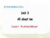 冀教版英語(yǔ)（2024） 七年級(jí)上冊(cè) Unit 3 All about me  Lesson 3 We all look different! 課件