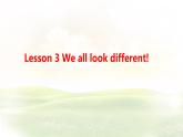 冀教版英語(yǔ)（2024） 七年級(jí)上冊(cè) Unit 3 Lesson 3 We all look different! 知識(shí)梳理課件 英語(yǔ)