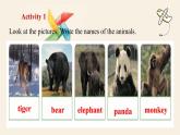 冀教版英語（2024） 七年級上冊 Unit 5 Animal friends Lesson 4 My favourite animal 課件