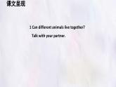冀教版英語（2024） 七年級上冊 Unit 5 Lesson 2 The rhino and the egret課件