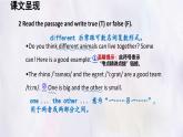 冀教版英語（2024） 七年級上冊 Unit 5 Lesson 2 The rhino and the egret課件