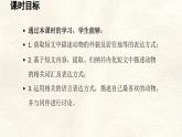 冀教版英語（2024） 七年級上冊 Unit 5 Lesson 4 My favourite animal課件
