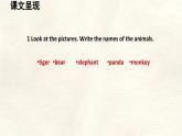 冀教版英語（2024） 七年級上冊 Unit 5 Lesson 4 My favourite animal課件