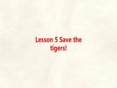 冀教版英語（2024） 七年級上冊 Unit 5 Lesson 5 Save the tigers! 知識梳理課件 英語