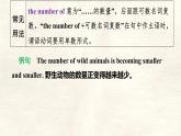 冀教版英語（2024） 七年級上冊 Unit 5 Lesson 5 Save the tigers! 知識梳理課件 英語