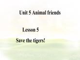 冀教版英語（2024） 七年級上冊 Unit 5 Lesson 5 Save the tigers!課件